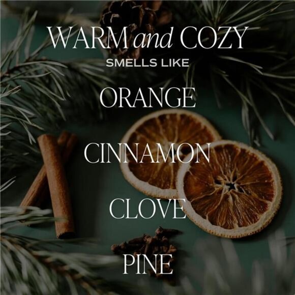 Sweet Water Decor Warm and Cozy Candle - Pine Cinnamon - Picture 3 of 10